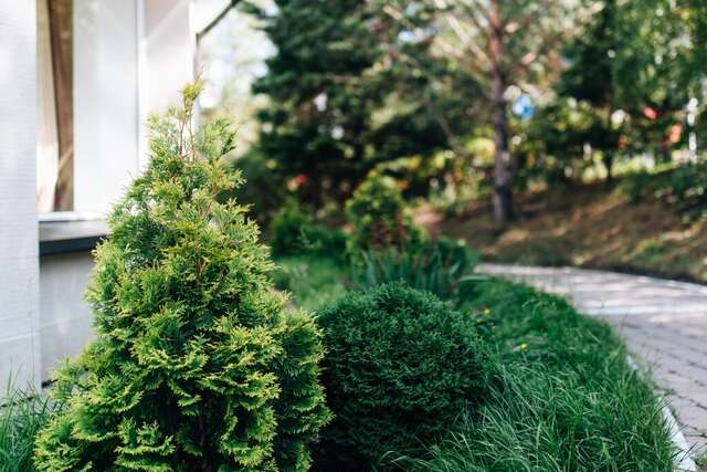 Гостиница Солнце Иркутск-28